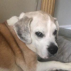 Meet your Posher, Tommy